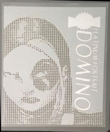 Domino #9