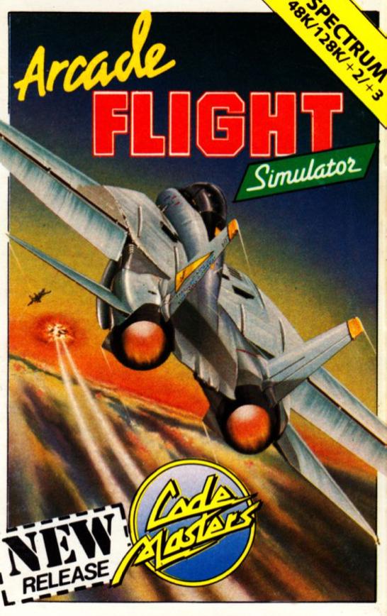 Arcade Flight Simulator