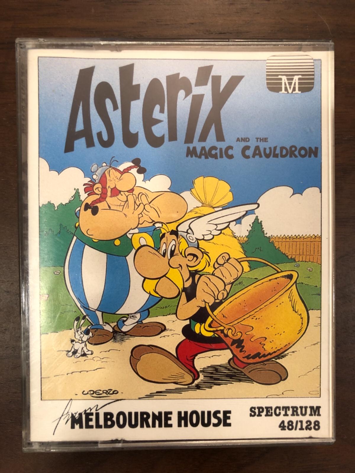 Asterix and the Magic Cauldron