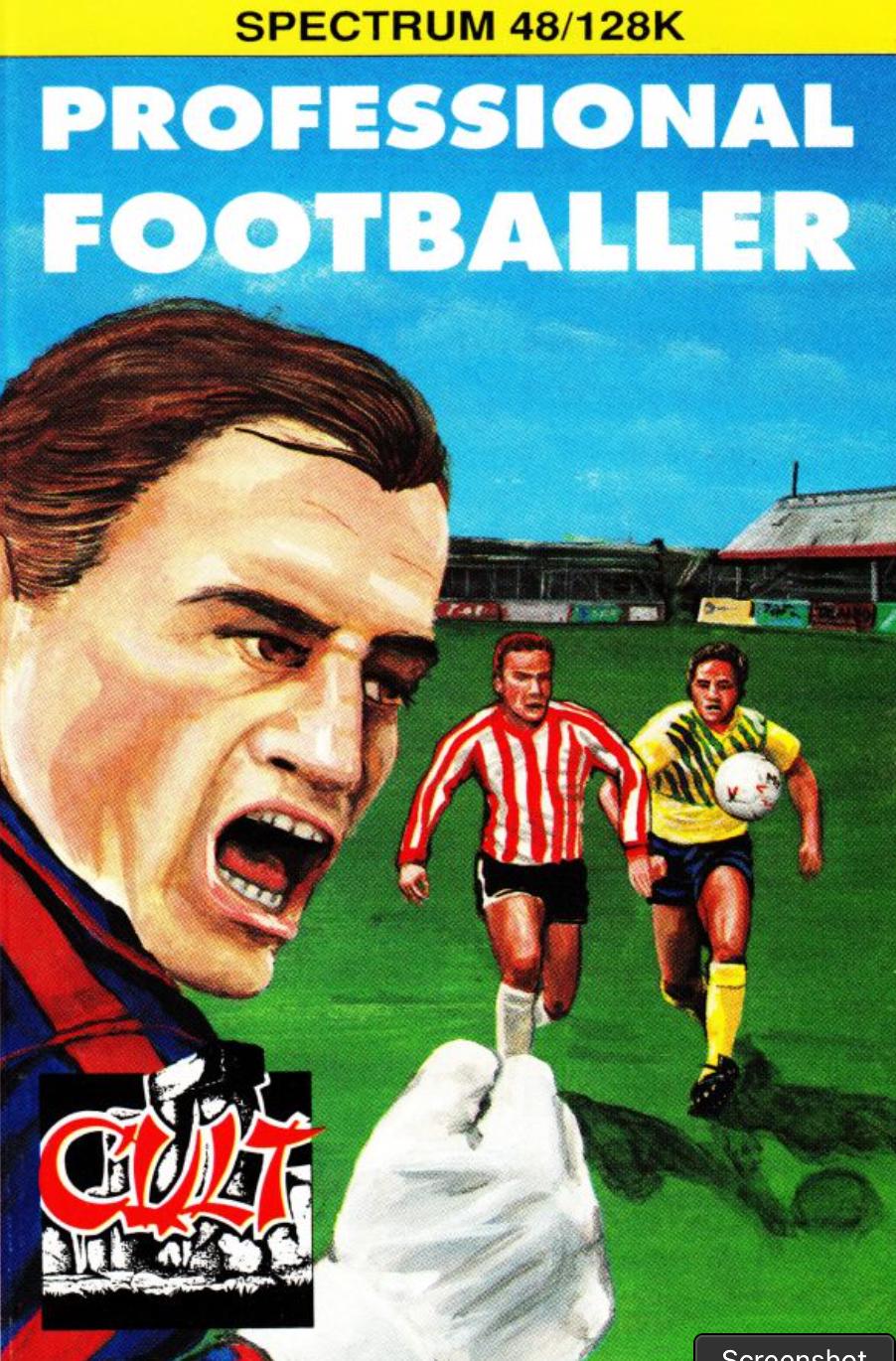 Professional Footballer