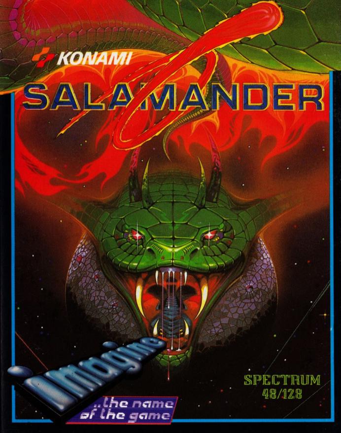 Salamander