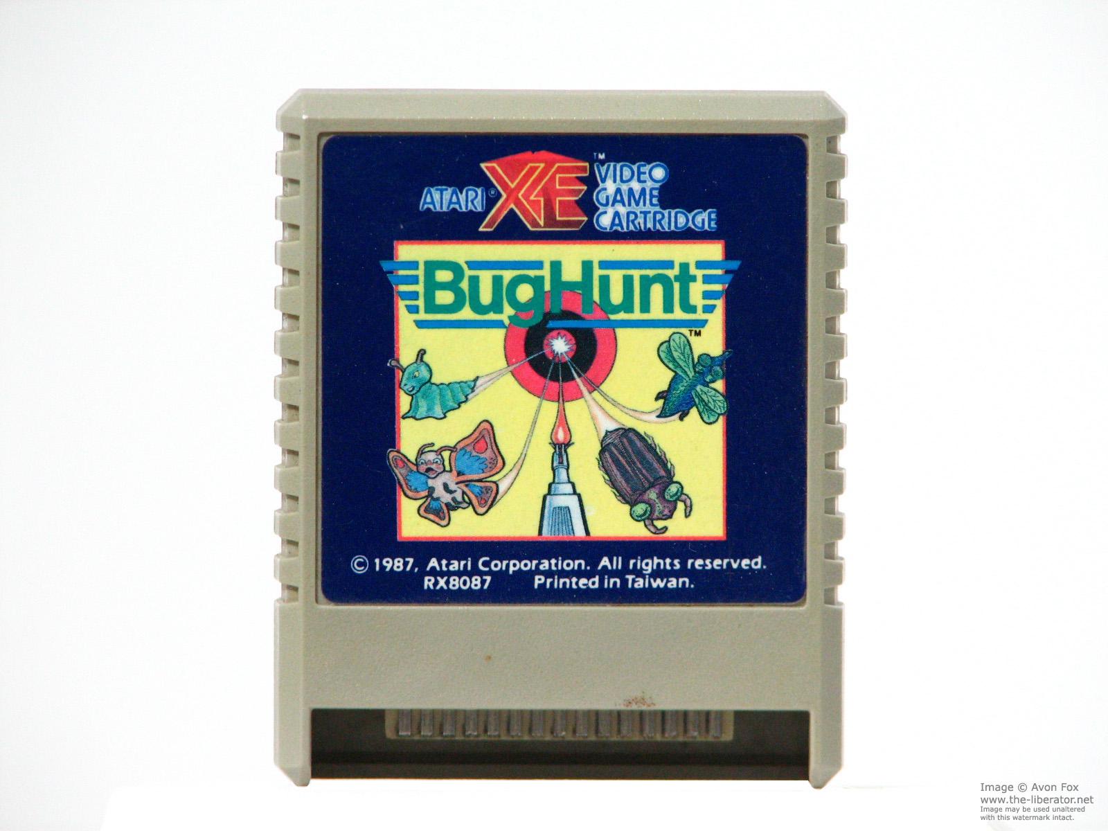 Bug Hunt
