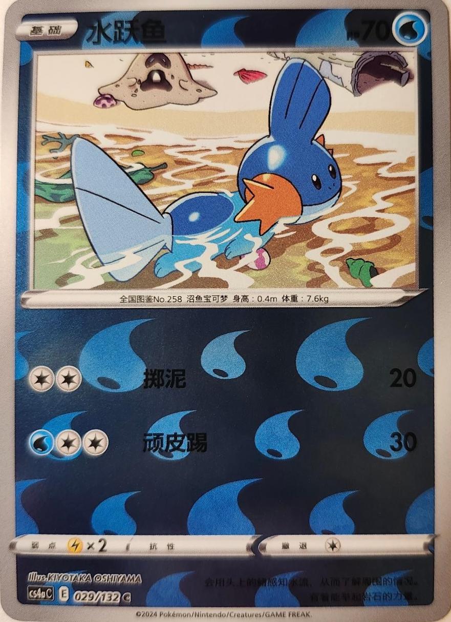 Mudkip #93