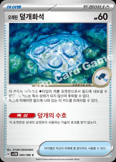 Antique Cover Fossil #80