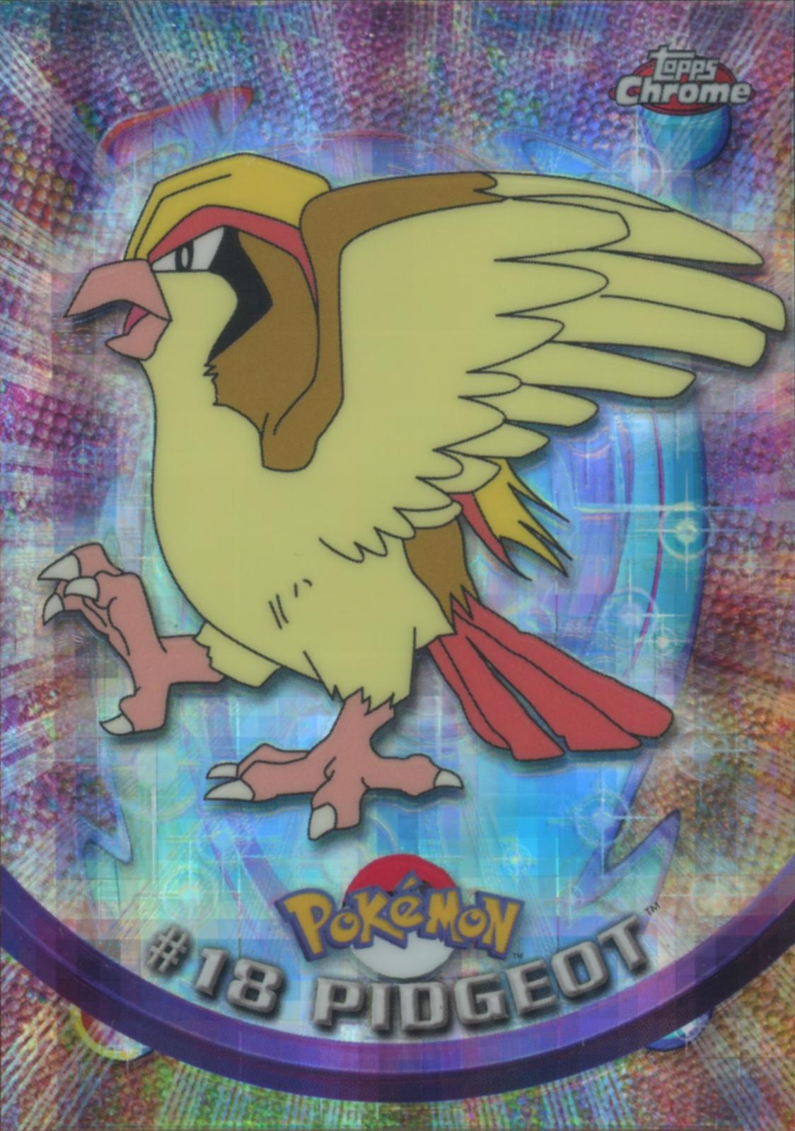 Pidgeot [Tekno] #18
