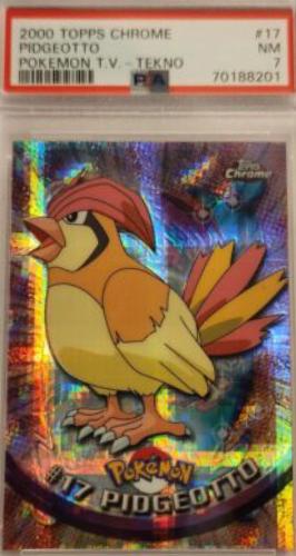 Pidgeotto [Tekno] #17