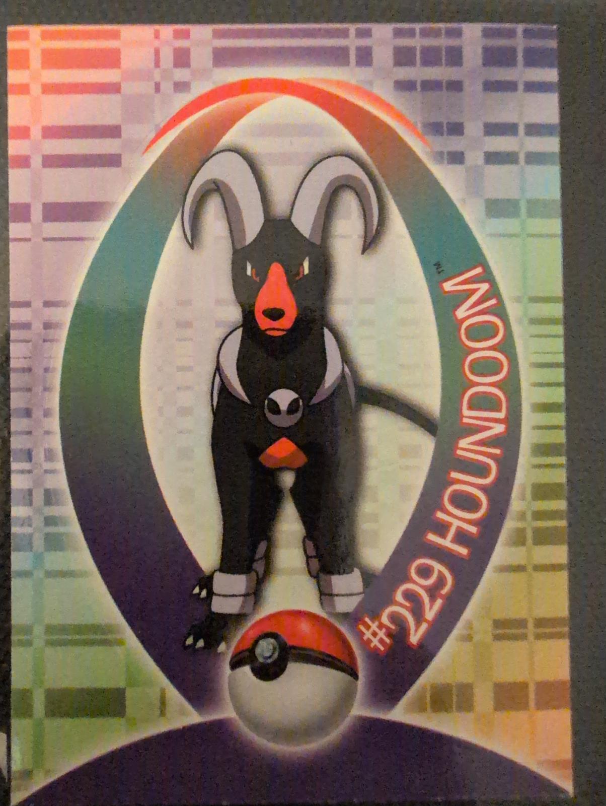 Houndoom #24