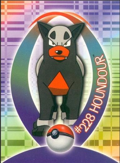 Houndour #23