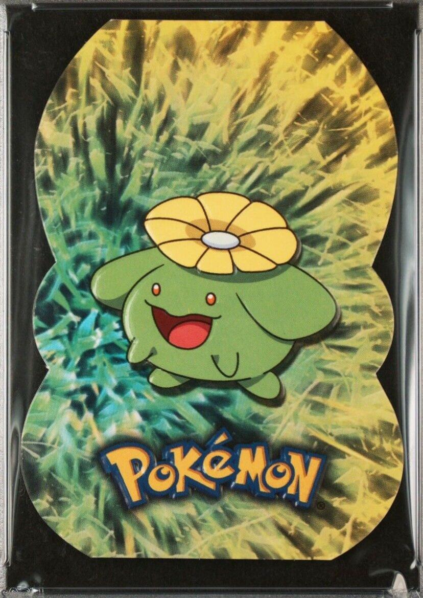 Skiploom #14