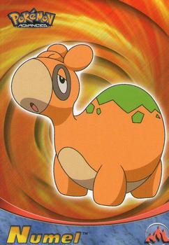 Numel #60