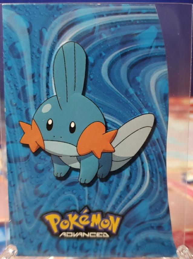 Mudkip #4