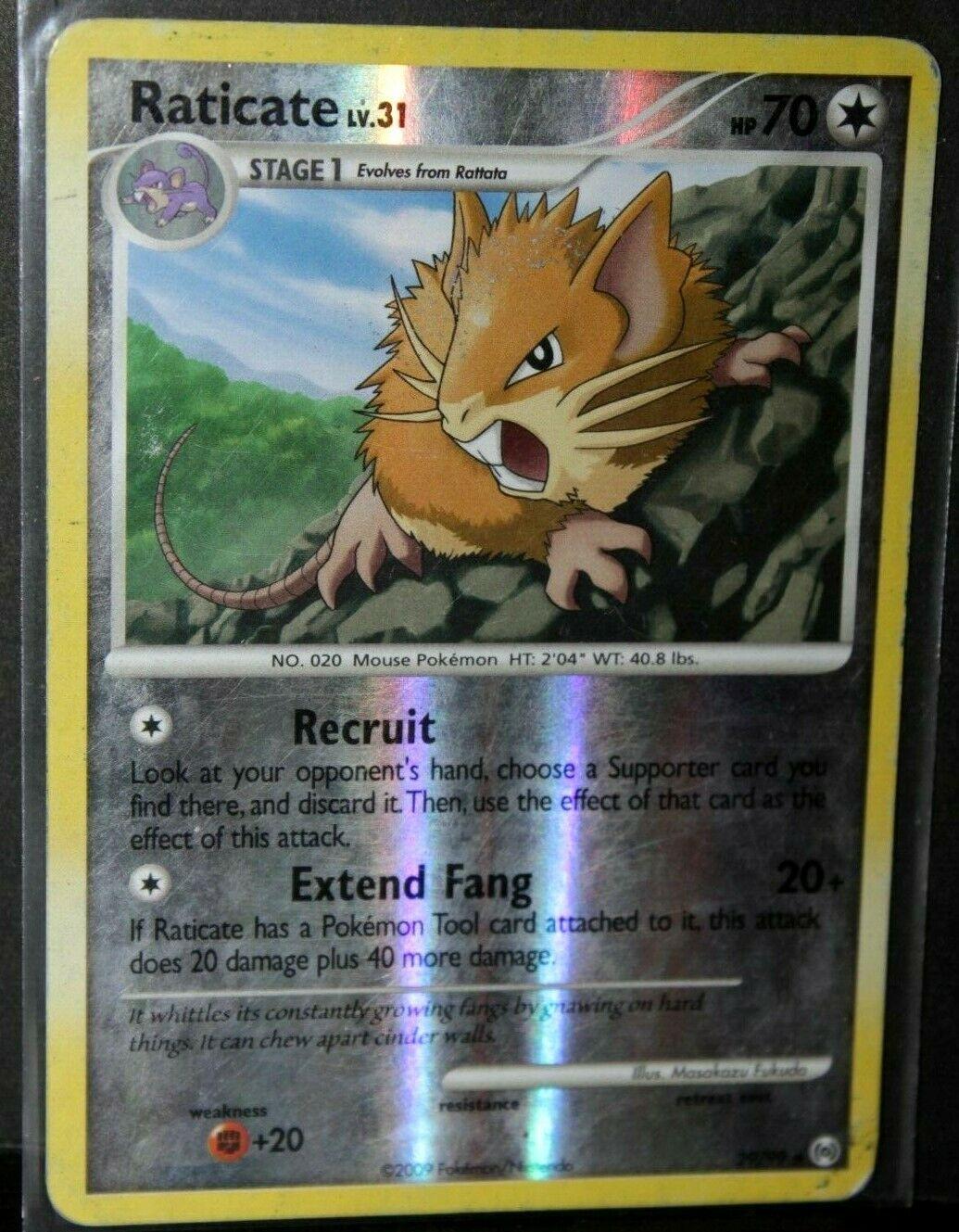 Raticate [Reverse Holo] #29