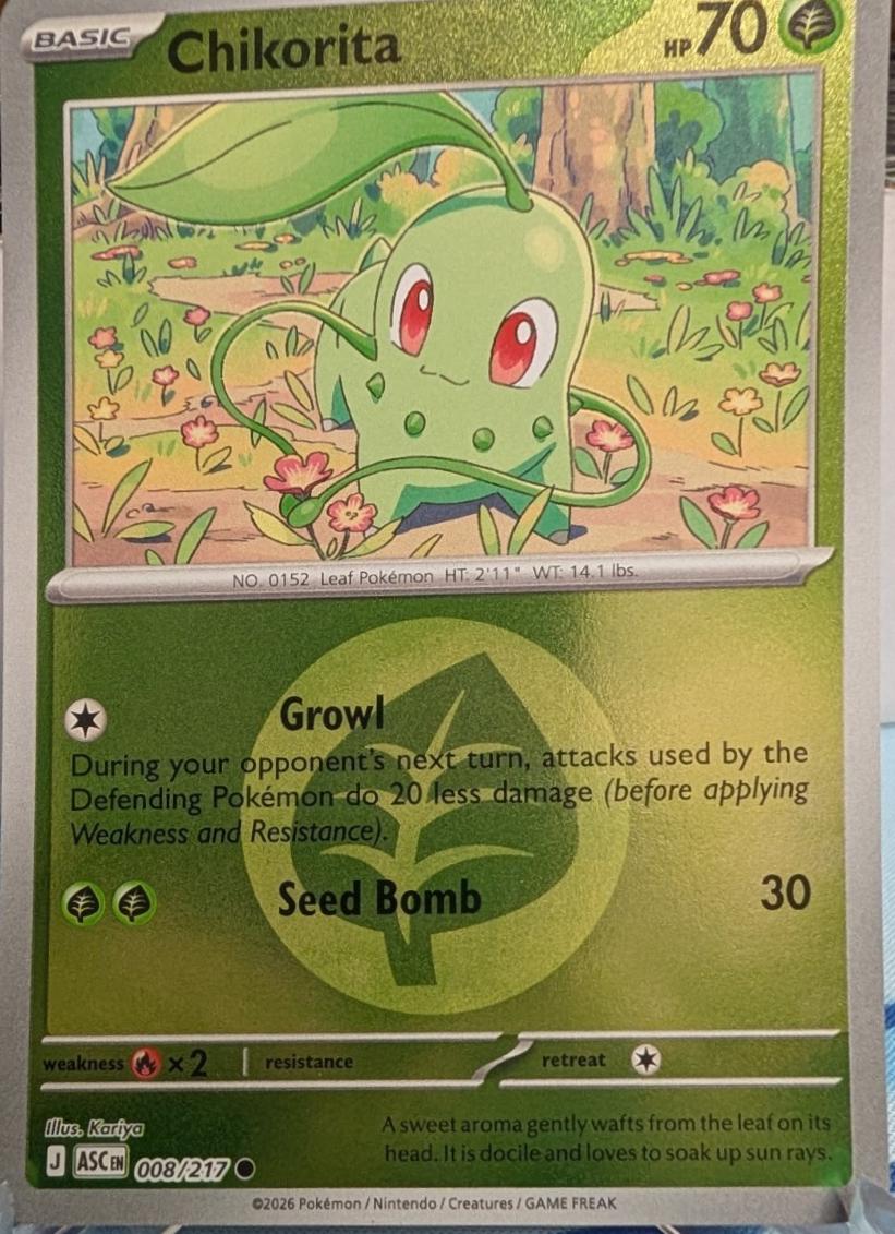 Chikorita [Energy] #8