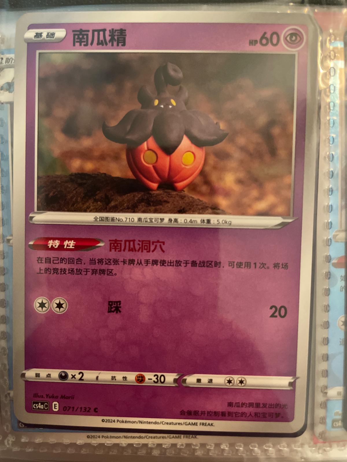Pumpkaboo #71