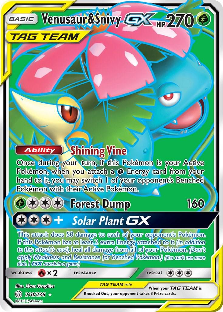 Venusaur & Snivy GX #210