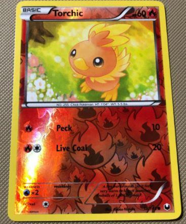 Torchic [Reverse Holo] #15