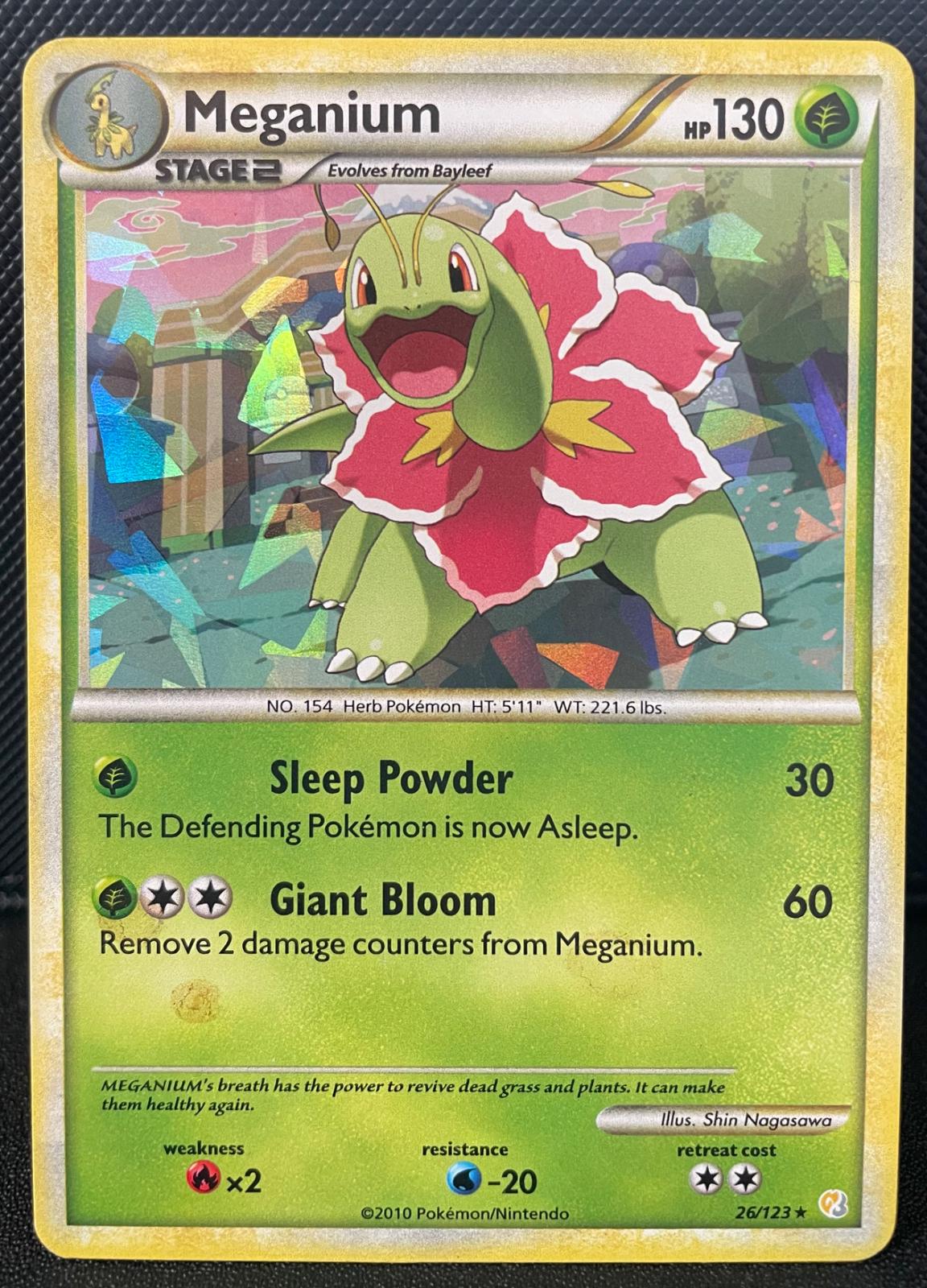 Meganium [Cracked Ice] #26