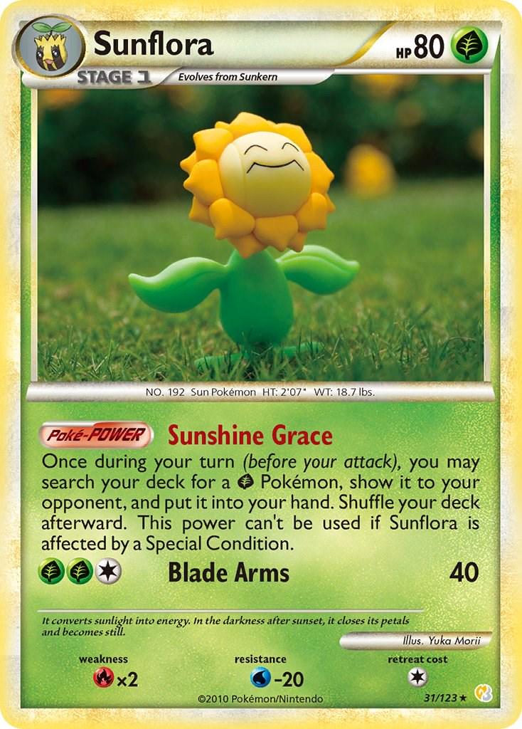 Sunflora #31