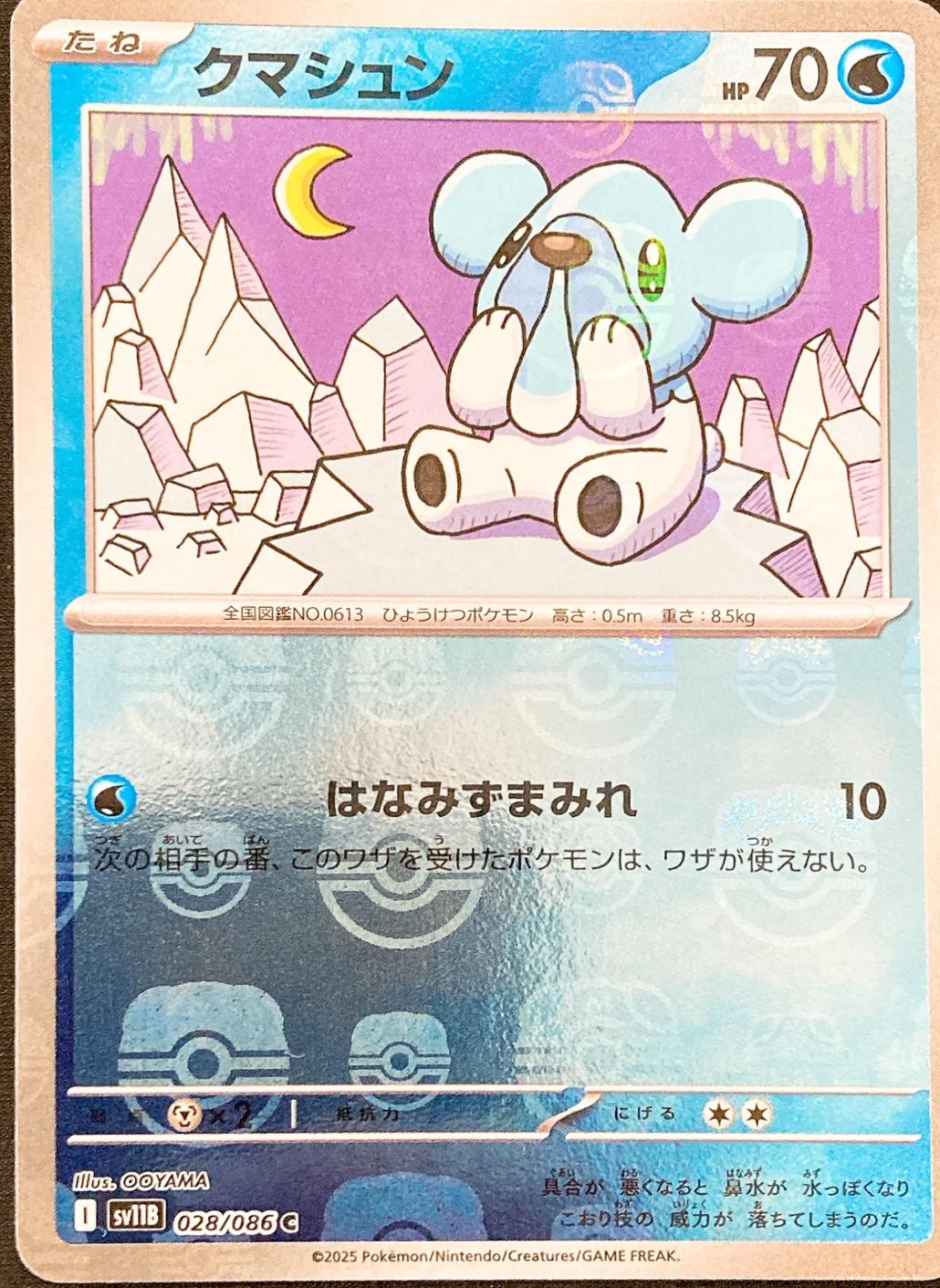 Cubchoo [Master Ball] #28