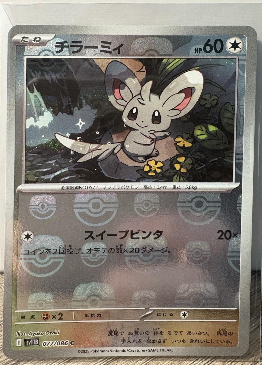 Minccino [Master Ball] #77