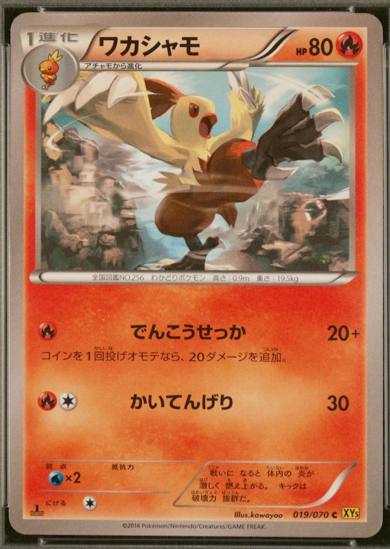 Combusken [1st Edition] #19