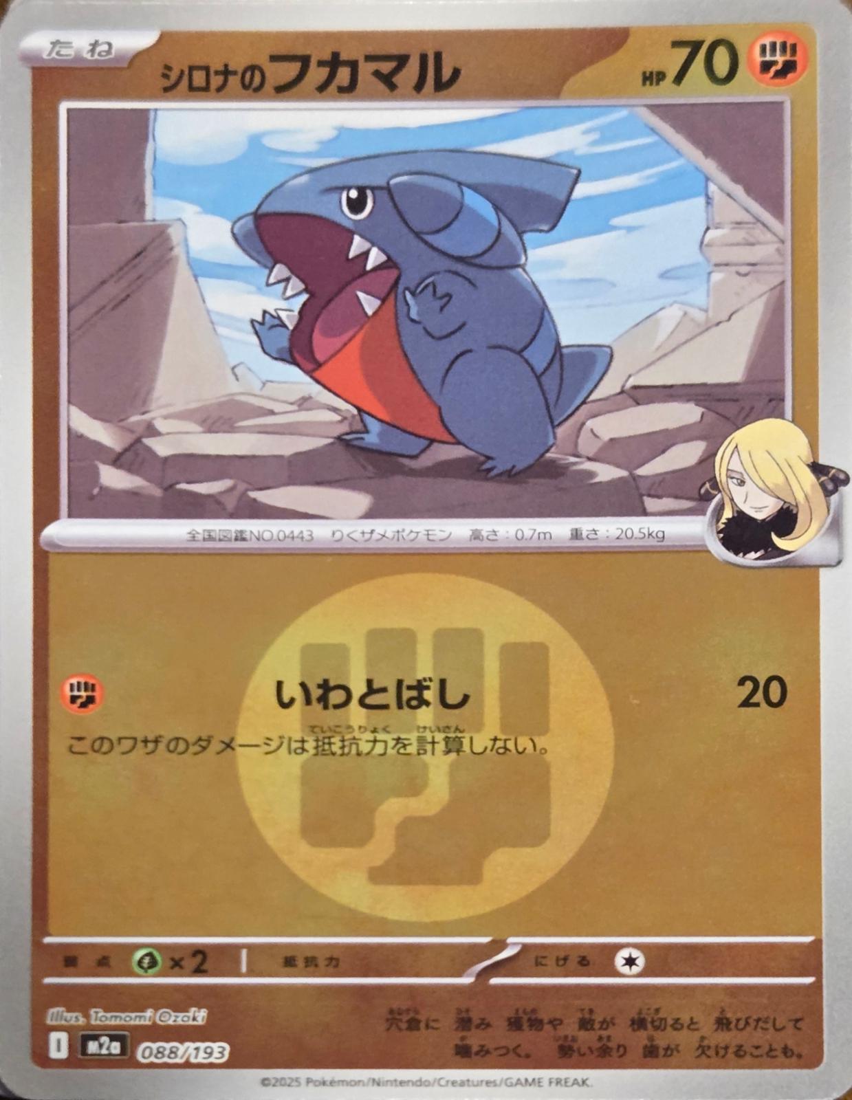 Cynthia's Gible [Energy] #88