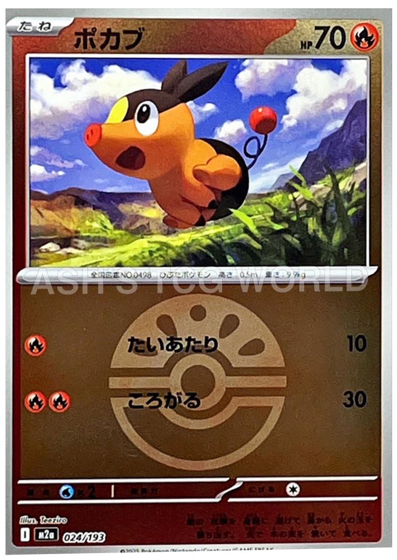 Tepig [Ball] #24