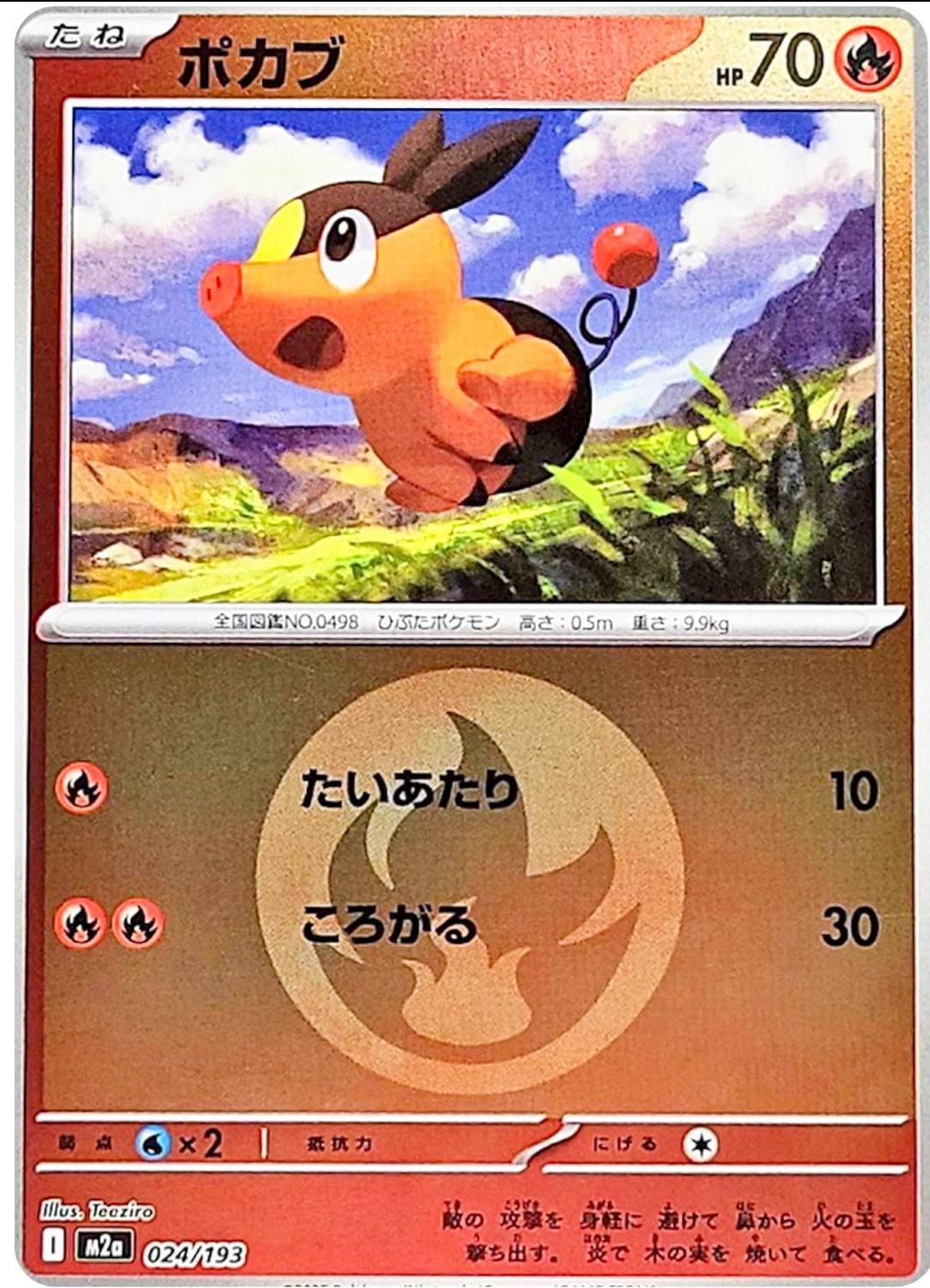 Tepig [Energy] #24