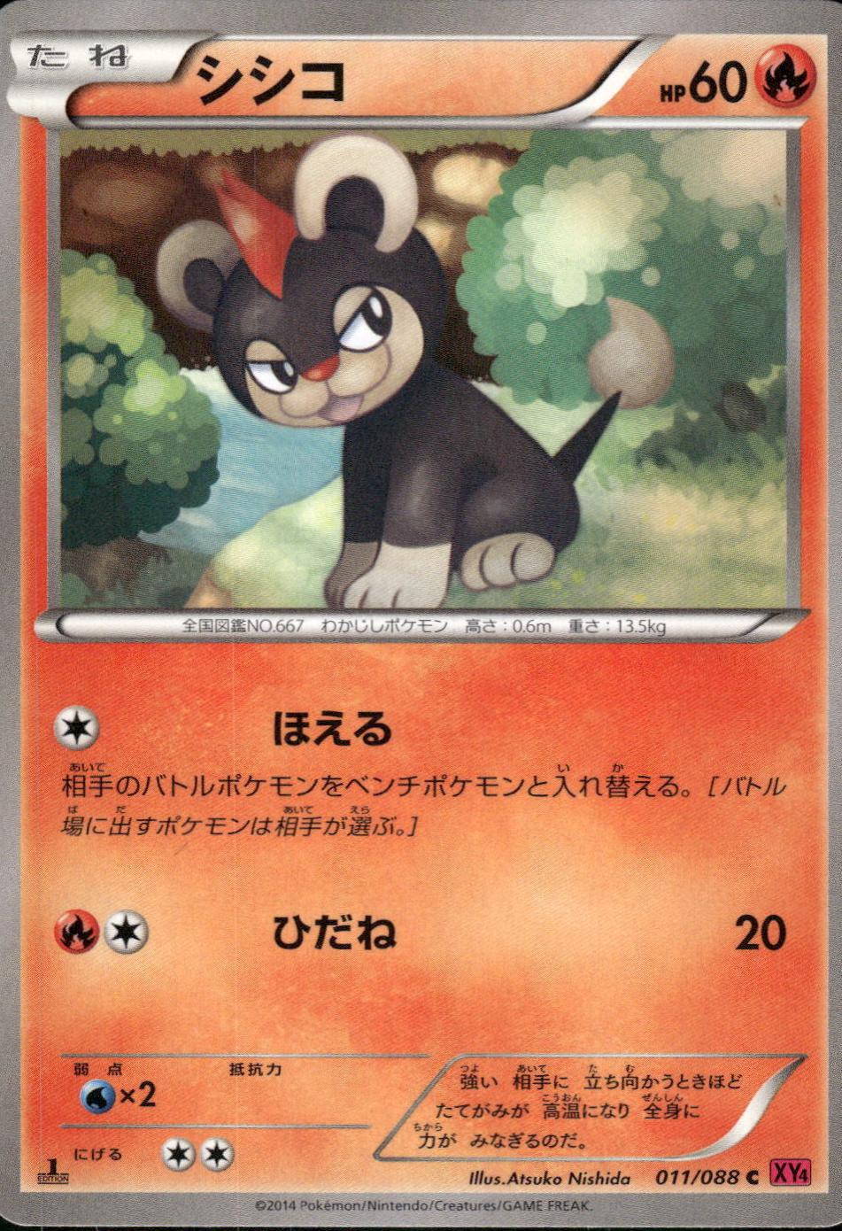 Litleo #11