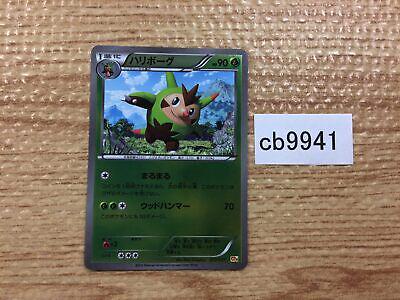 Quilladin #13