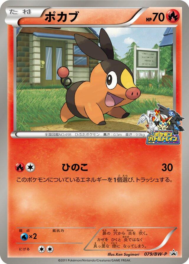 Tepig [Hokkaido Battle] #79/BW-P