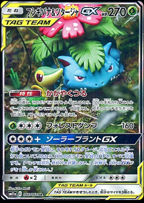 Venusaur & Snivy GX #66