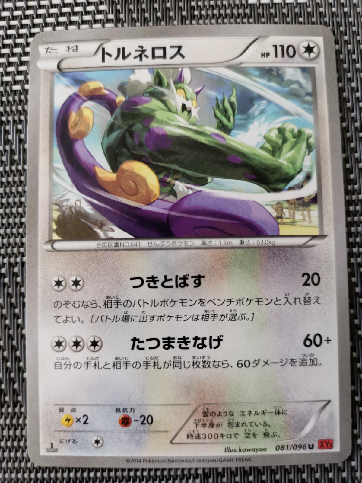 Tornadus #81