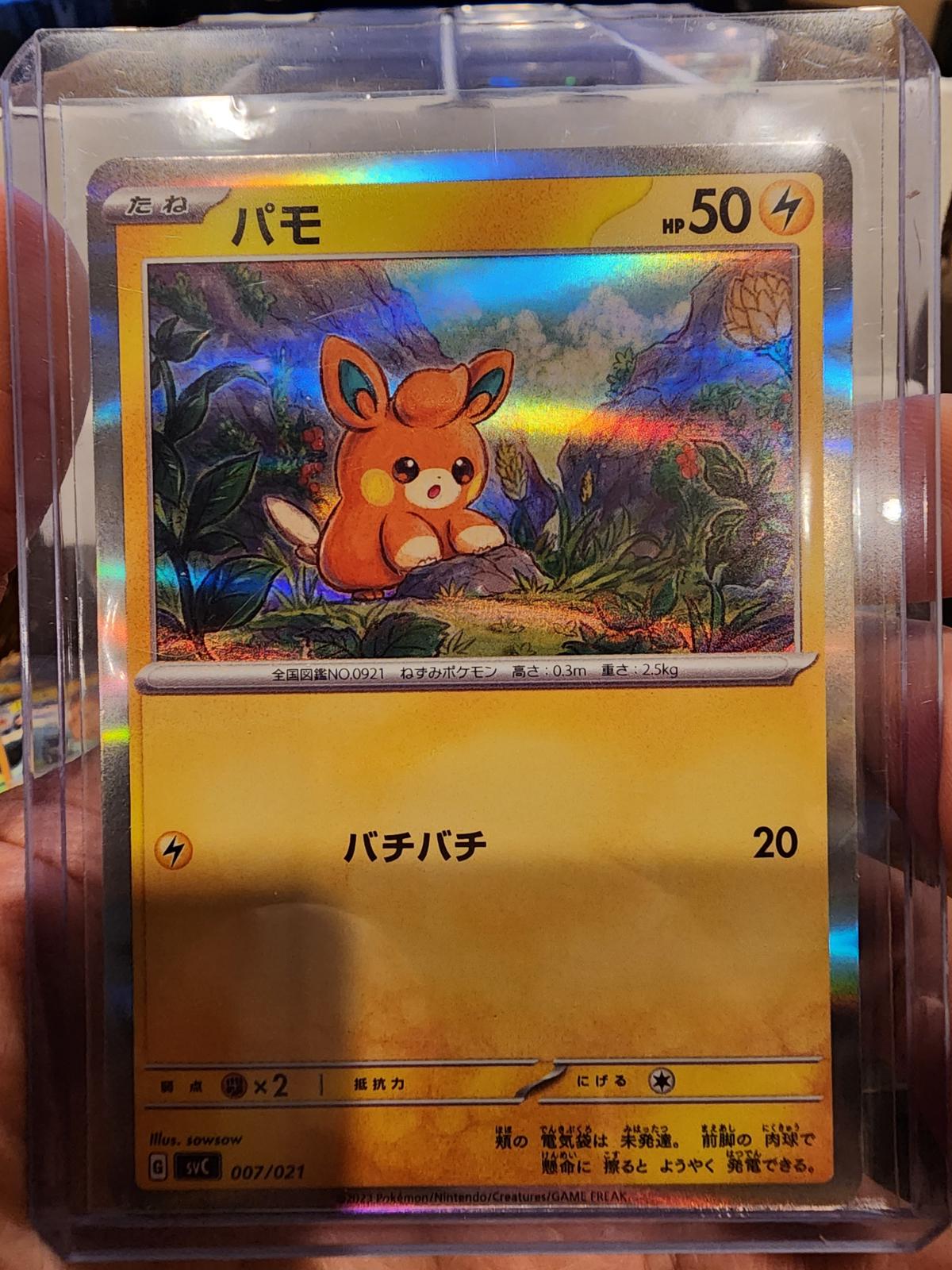 Pawmi [Holo] #7