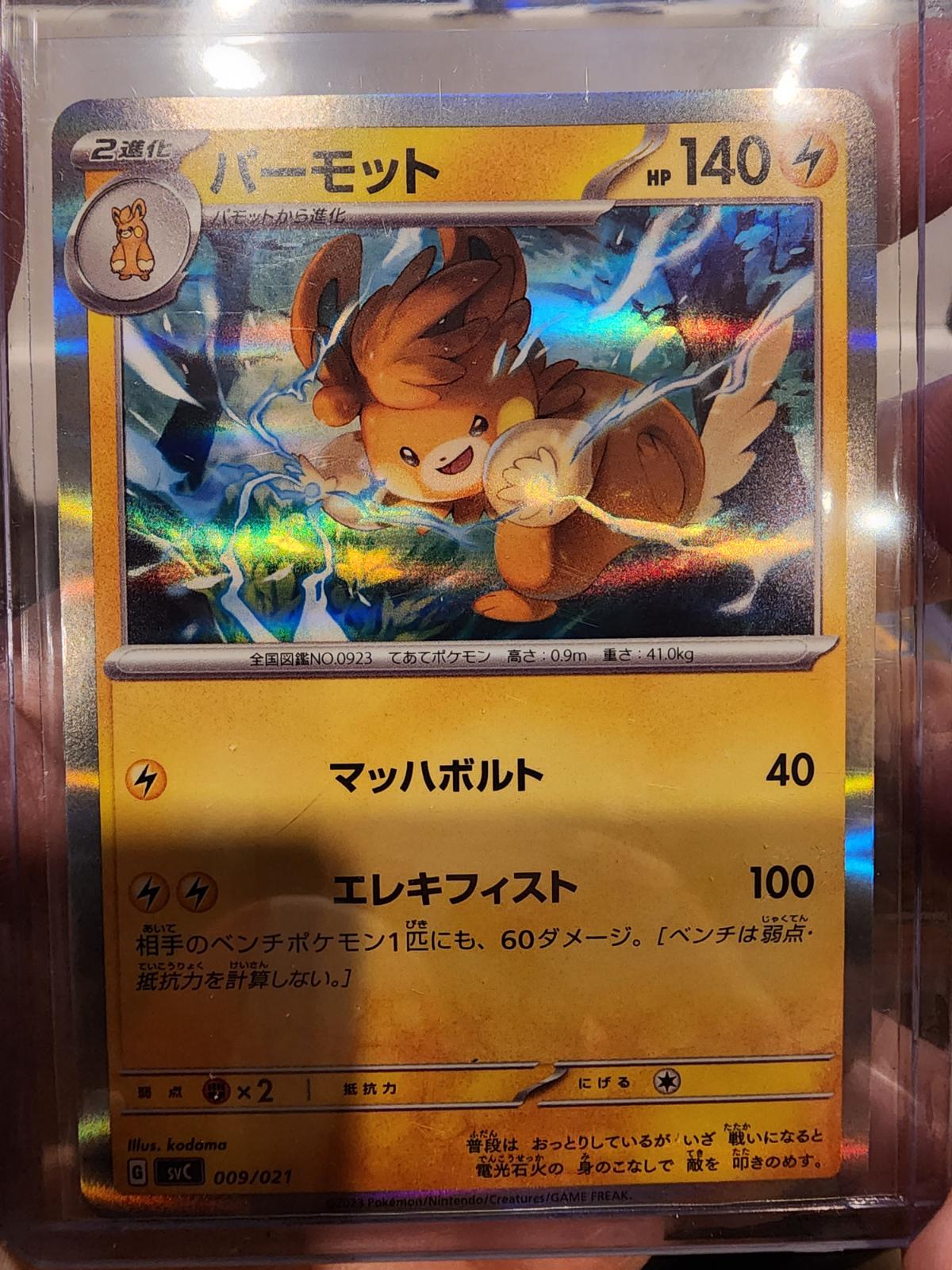 Pawmot [Holo] #9