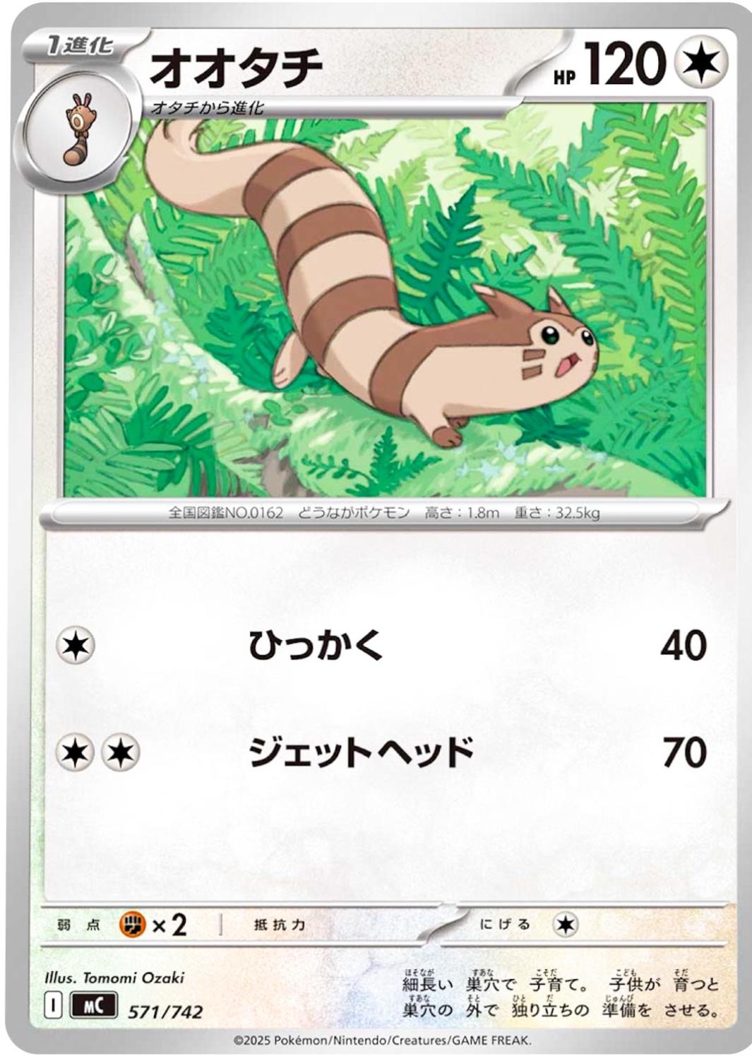 Furret #571