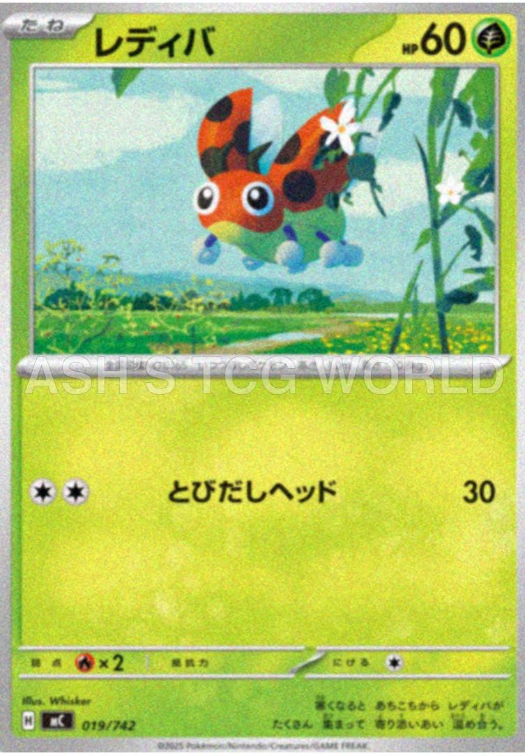 Ledyba #19