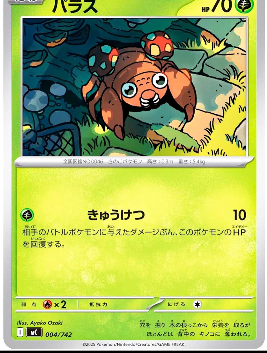 Paras #4