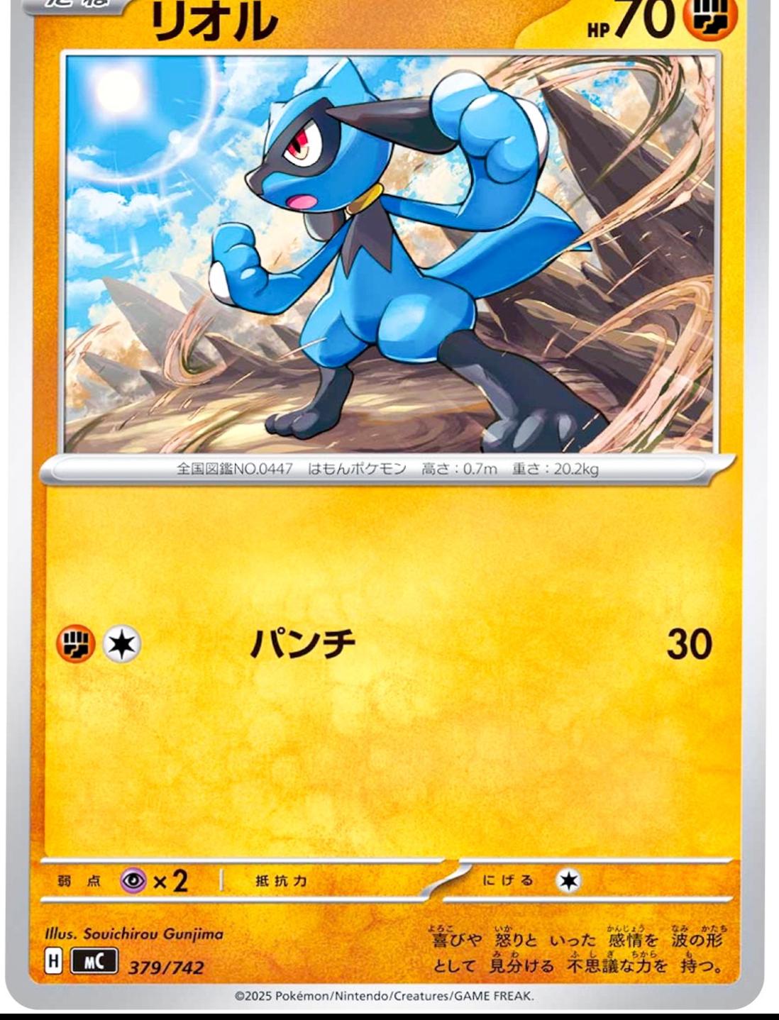 Riolu #379