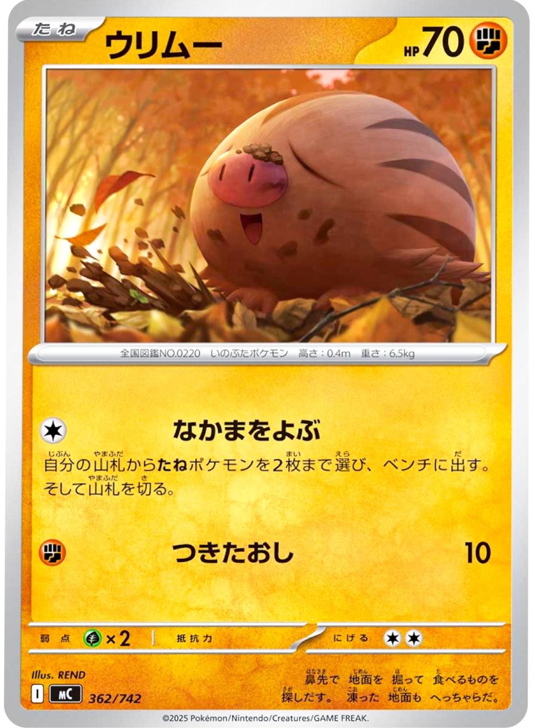 Swinub #362