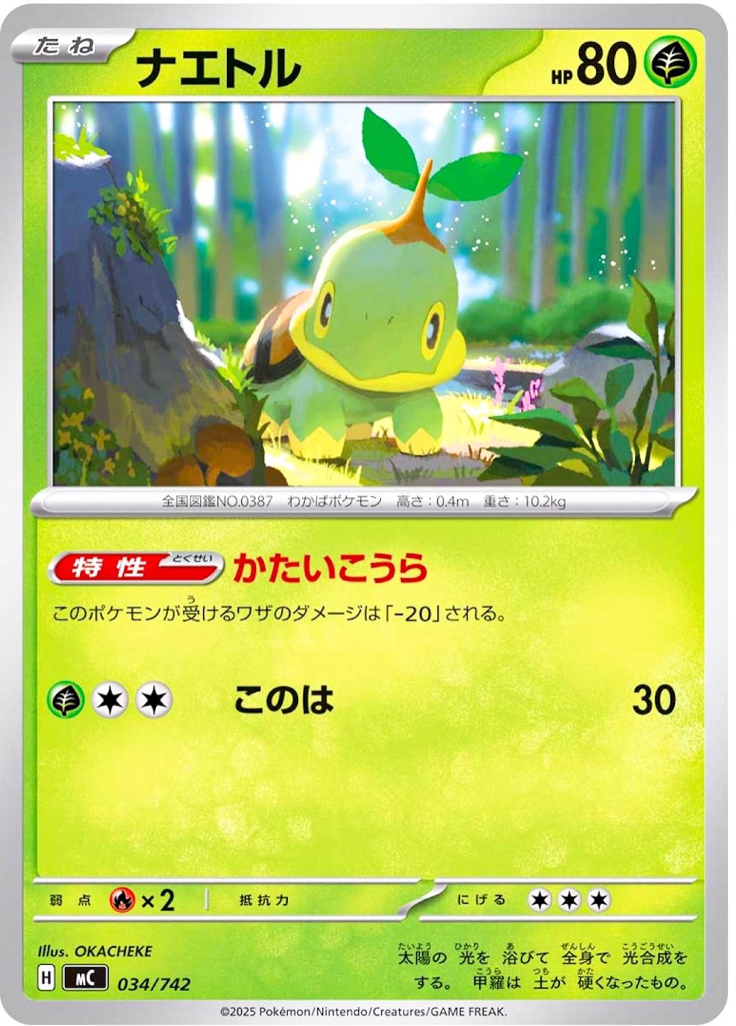Turtwig #34