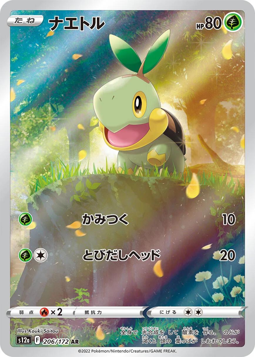 Turtwig #206