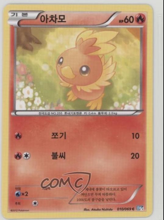 Torchic #10