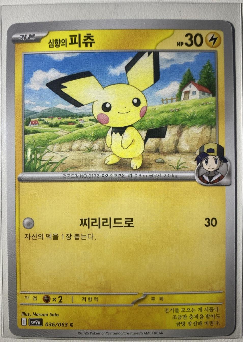 Ethan's Pichu #36
