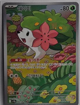 Shaymin #66