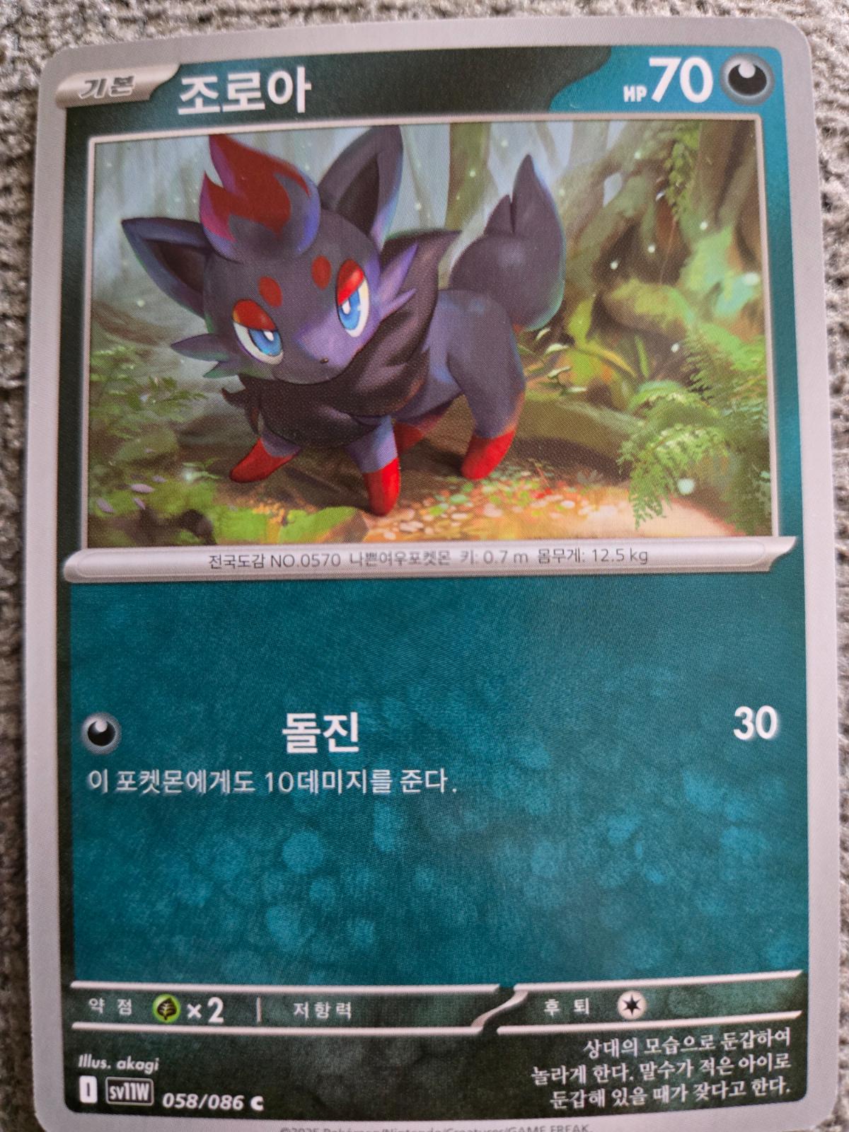 Zorua #58