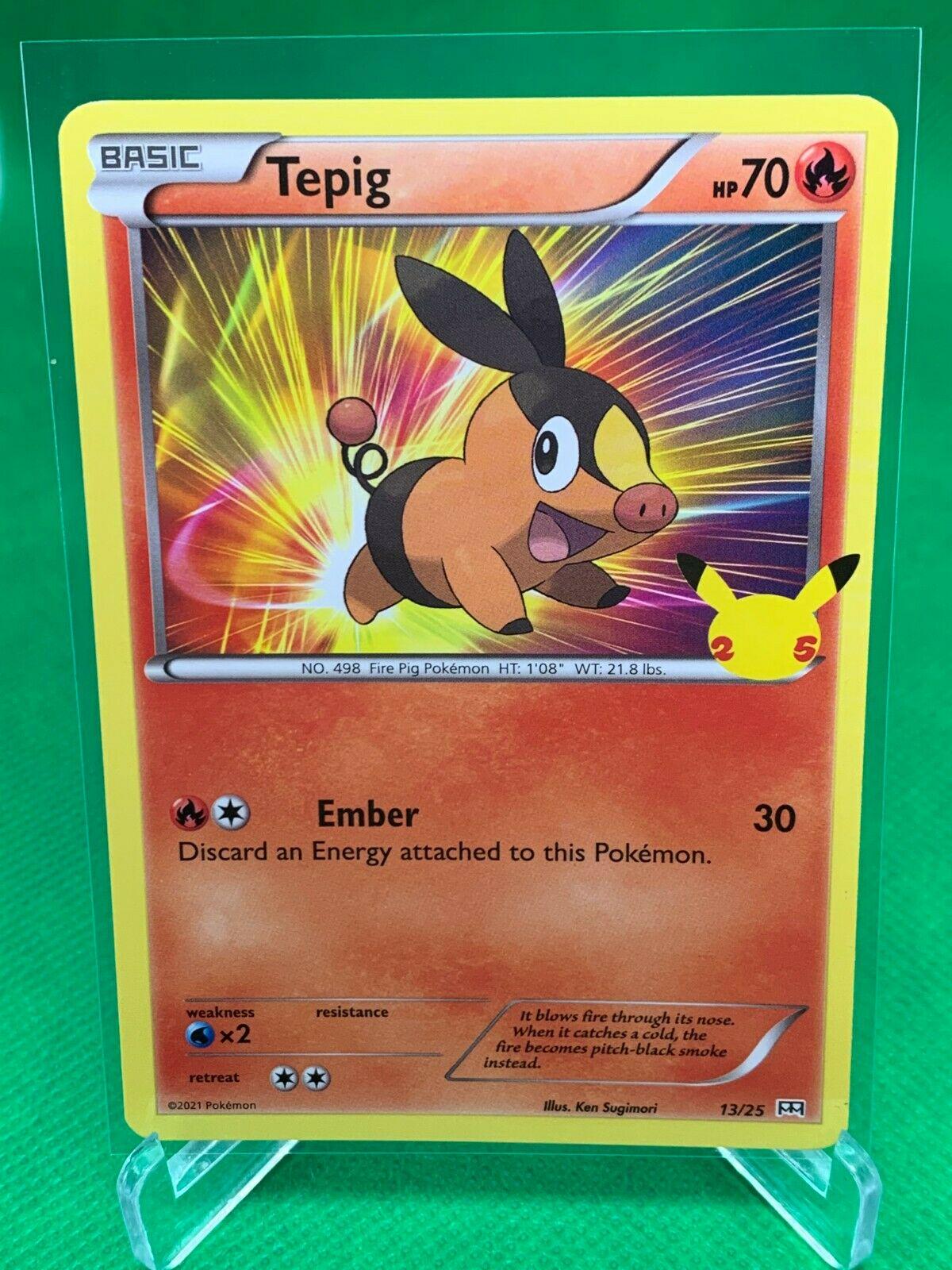 Tepig #13