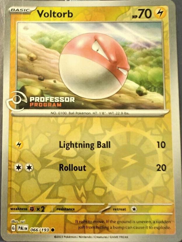 Voltorb [Professor Program] #66