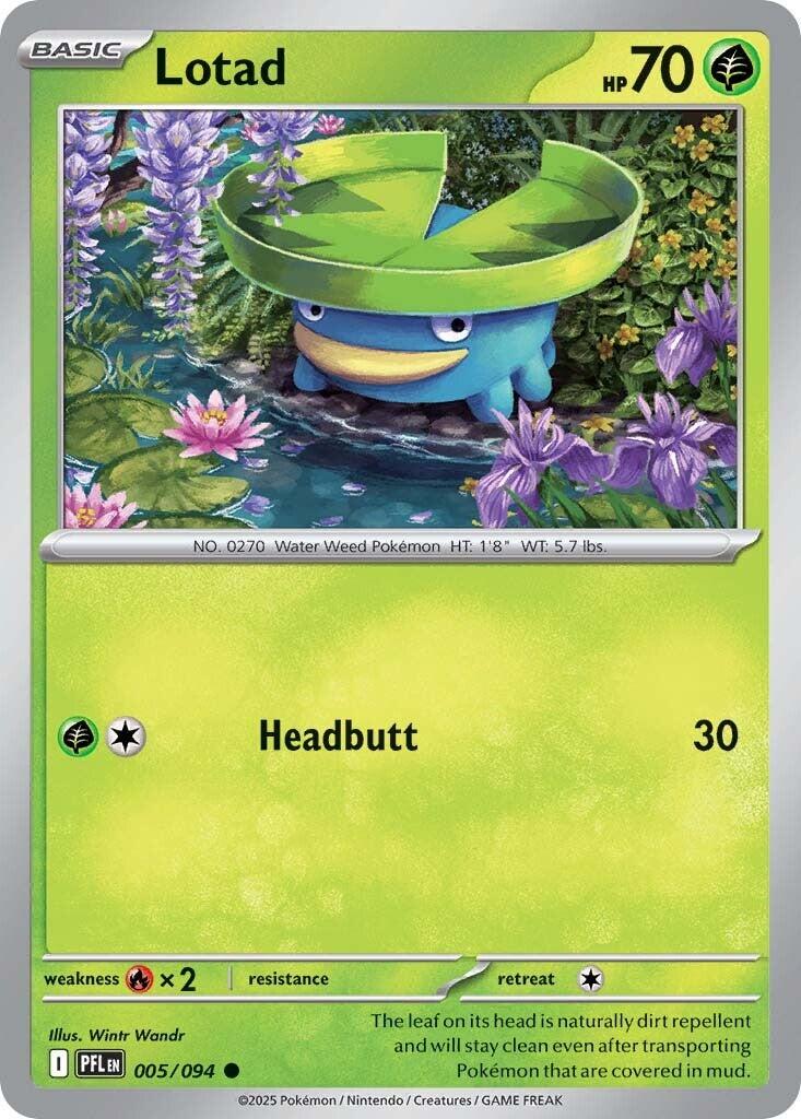 Lotad #5