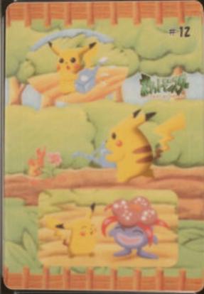 Pikachu & Kusaihana #12